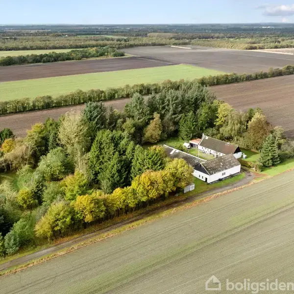 Hus omgivet af træer ligger roligt i et landligt område med åbne marker og en vindmølle i baggrunden.