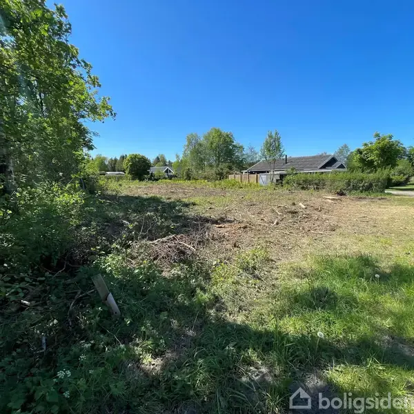 En rydnet grund grænser op til en grusvej omgivet af træer og buske. I baggrunden ses et hus med en have. Himlen er klar og blå.