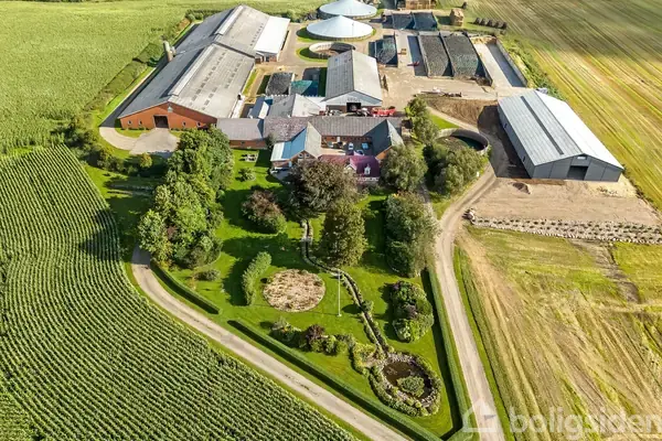 Kvæggård/-jord på Sandvadvej 36, 8766 Nørre Snede