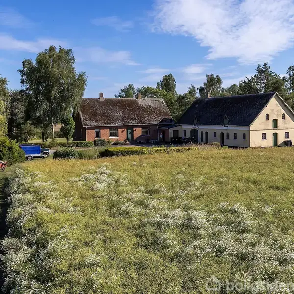 To huse står i en eng med vilde blomster; en bil og cyklister ses ved siden af en grusvej. Træer omkranser området under en blå himmel.