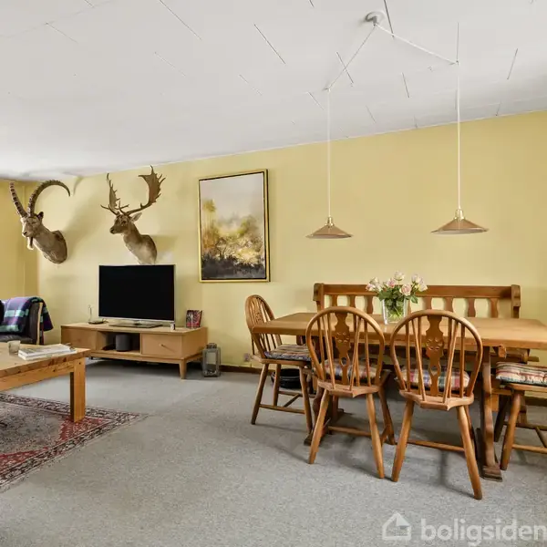 Et spisebord med stole står i en stue. Et sofabord med en plante og en sofa er ved siden af. Dyrehoveder hænger på væggen over et TV.