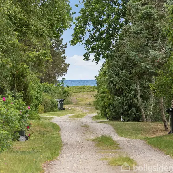 Sti med grus fører mod havet, omgivet af frodig vegetation og skraldespande langs kanten, under en blå himmel.