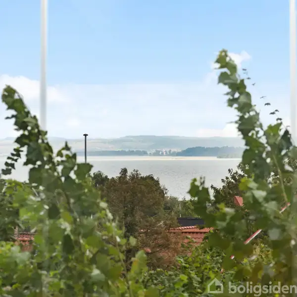 Træer svajer foran en søudsigt, hvor bakket landskab kan ses i baggrunden under en blå himmel med hvide skyer.