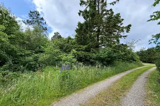 Fritidsgrund på Marthasvej 6, Trend, 9670 Løgstør