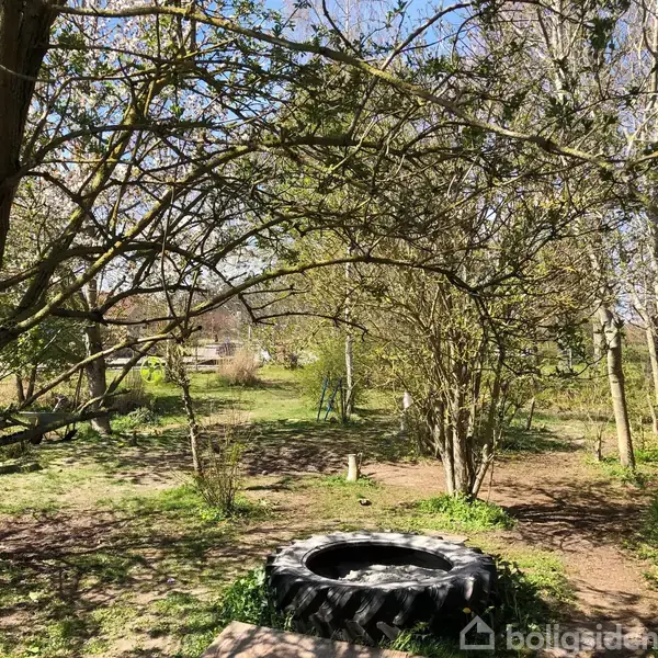 Et stort traktordæk ligger på jorden i en have, omgivet af græs og træer med spredte blade. Der er en lys himmel i baggrunden.