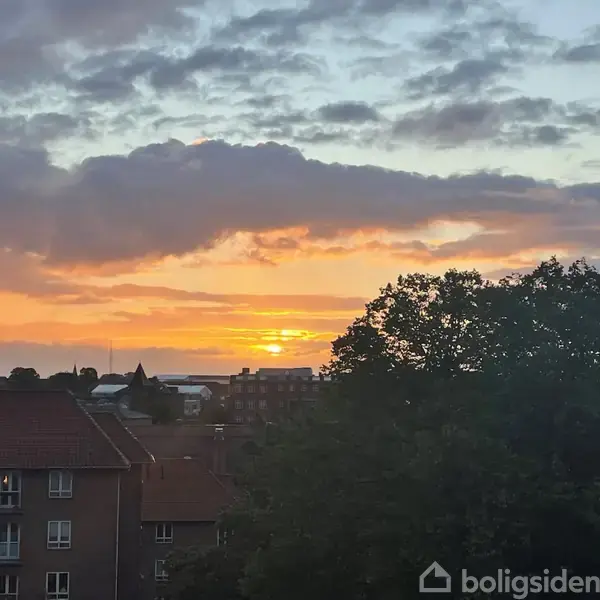 Solnedgang maler himlen i orange nuancer over byens tage, mens store træer i forgrunden tilføjer dybde til scenen.