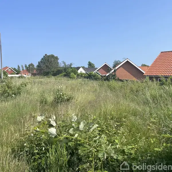 Et åbent, græsbevokset areal med ukrudt ved siden af en asfalteret vej. I baggrunden ses rødtagede huse under en klar blå himmel.