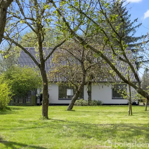 Hus med hvid facade og mørkt tag står stille omkranset af frugttræer i fuldt løv. Græsplæne og buske fylder haven, mens en blå skyfri himmel omkranser scenen.