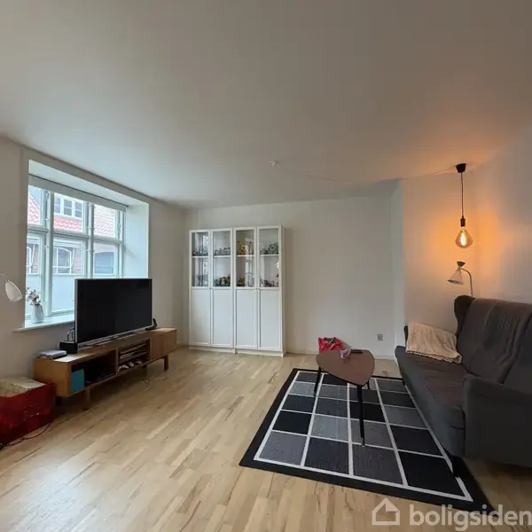 Stue med sofa på sort-hvidt tæppe, lige ved siden af hængende lampe. Fjernsyn på lavt bord foran stort vindue. Lys trægulv og vitrineskab i baggrunden.