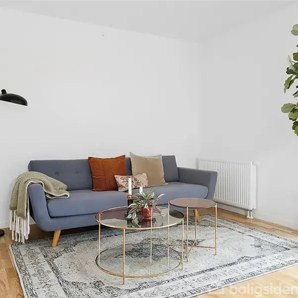 En blå sofa står med farverige puder og tæppe i et hjørne af stuen. To runde glasborde pryder foran, omgivet af en stor grøn plante og en hvid væg.