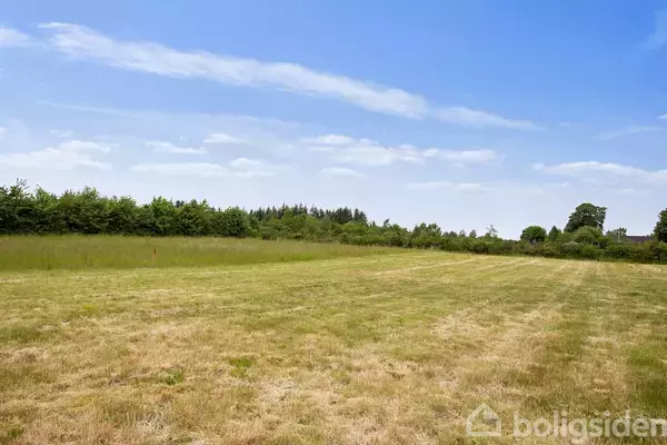 En grøn mark ligger under en blå, let skyet himmel, omgivet af lave træer og buske i baggrunden.