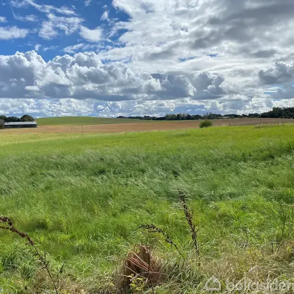 En grøn mark breder sig ud mod horisonten under en dramatisk, skyfyldt blå himmel. Marken omkranses af træer i baggrunden, hvilket skaber en rolig landskabsidyl.