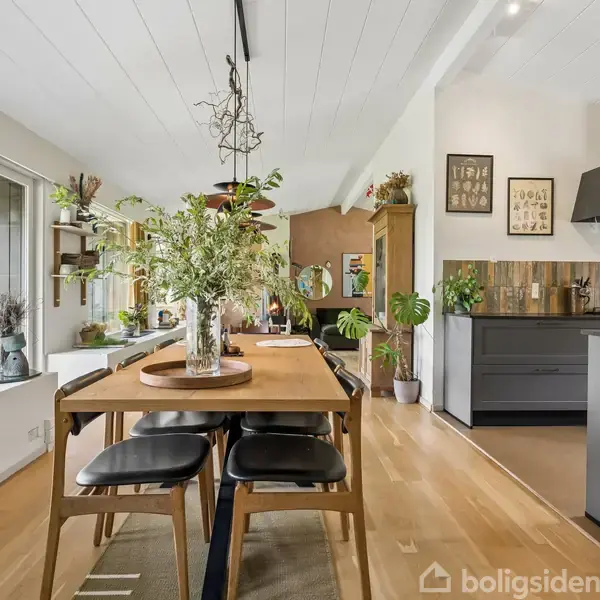 Spisebord med planter og stole står i åbent køkken-alrum. Store vinduer bringer naturligt lys ind. Køkkenet har moderne apparater og grønne planter på hylderne.
