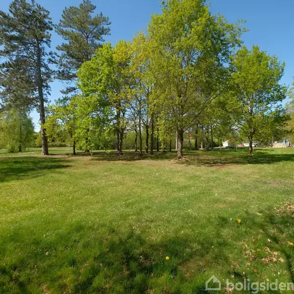 Et skilt fra ejendomsmægleren "home" står i en grøn have med spredte træer. En grusvej ses til venstre, og et hus er delvist synligt i baggrunden.