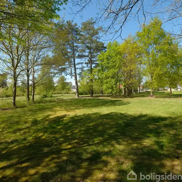 Græsplæne under sollys, omgivet af grønne træer og en klar blå himmel; skaber en fredfyldt park-atmosfære.