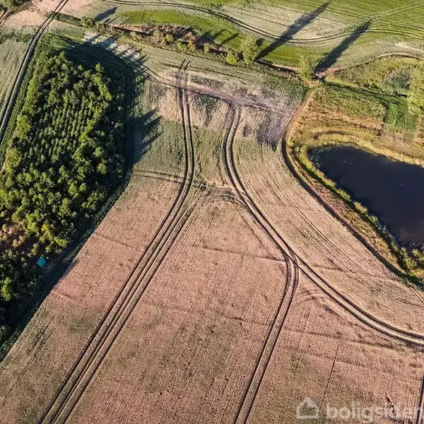 Feltvisning fra luften: Træbevokset område ved siden af en lille sø, omgivet af marker med kørespor; træer står på kant langs grænsen mellem mark og skov.