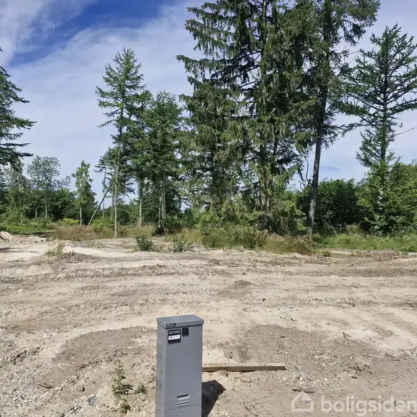 Boks står i jorden, omgivet af ujævnt, ryddet jordstykke med høje træer og buske i baggrunden under en blå himmel.