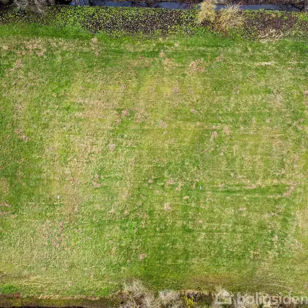 En grøn græsplæne set fra oven med en vej til højre og buske i kanterne. Omkringliggende vegetation skaber en naturlig ramme.