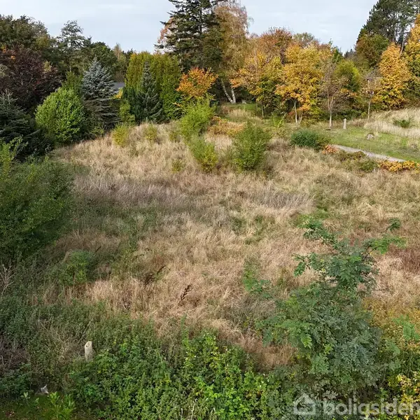 En overgroet græsplæne med spredte buske står ubevægelse. Omkring er der en skov med træer i efterårsfarver, og en vej kan ses til højre i billedet.