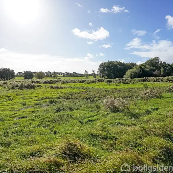 Grøn mark ligger stille under klar himmel med spredte skyer, omgivet af buske og træer i det fjerne. Solen skinner stærkt fra venstre.