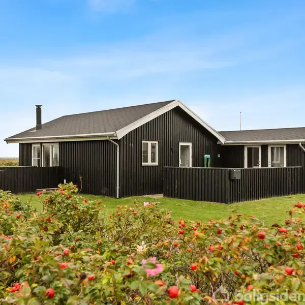 Et sort træhus står stille omgivet af grønne buske og græs, under en blå himmel. Røde blomster er synlige i forgrunden.