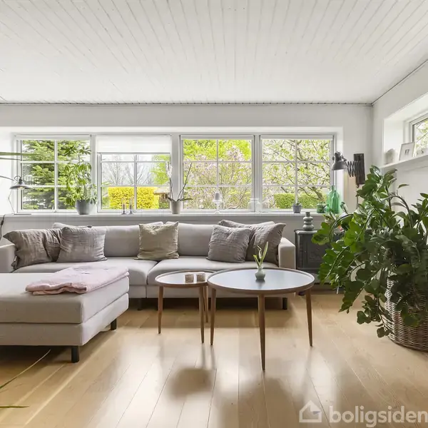 Stue med lys grå sofa og sofabord foran store vinduer. Grønne planter dekorerer rummet, der har lyst trægulv og hvidmalet loft. Hyggelig og indbydende indretning.