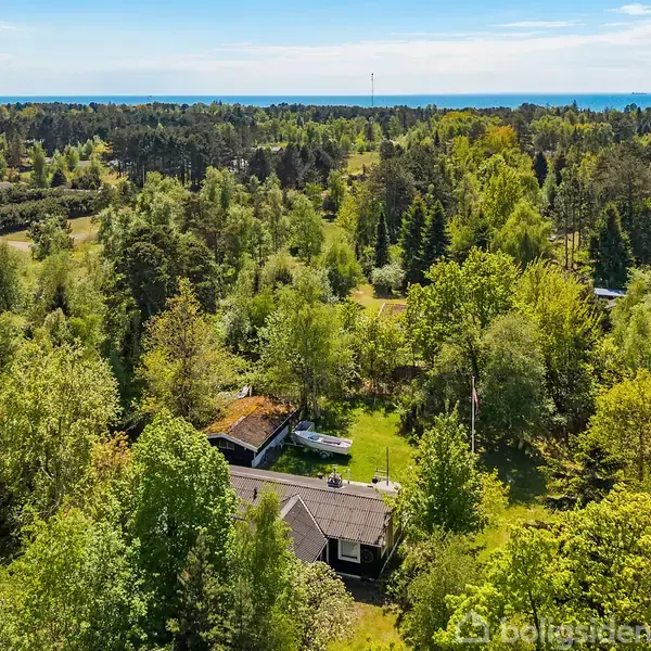 Hus omgivet af tæt skov, beliggende i en frodig, grøn landskab. Det ligger centralt i billedet, med udsigt til en horisont og en blå himmel i baggrunden.