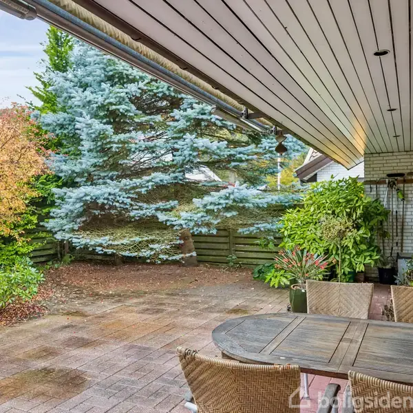 Udendørs terrasse med træbord og stole under en overdækket veranda. Omkring er der frodige planter, farverige træer og en træhegn, som skaber en hyggelig atmosfære.