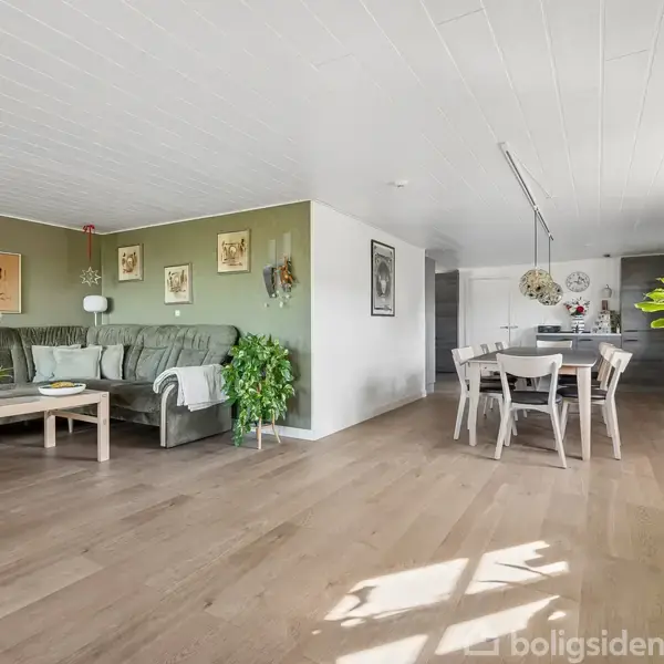 En stue med en grøn sofa står ved siden af et sofabord fyldt med dekorative elementer. Rummet er lyst og rummeligt med trægulv, spisebord og planter.