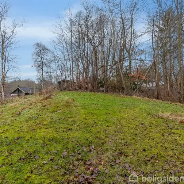 Græsbeklædt bakke strækker sig op mod træer uden blade, der omkranser området. I baggrunden ses et hus i et skovklædt landskab under en blå, skyfri himmel.