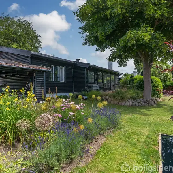 Sort hus med store vinduer placeret i en farverig have, fyldt med blomster og grønne buske. En stor træ står tæt på huset, som omkranses af en velplejet græsplæne.