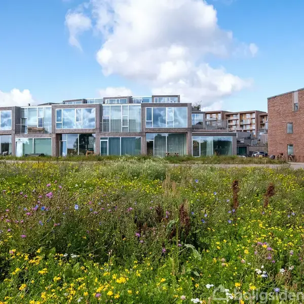 Moderne rækkehuse med glasfacader står i baggrunden, mens en blomstrende eng breder sig foran. En klar blå himmel med hvide skyer skaber en lys og åben atmosfære.