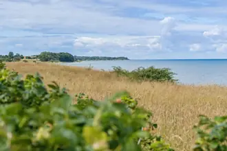 Fritidshus på Bellisvej 16, 4400 Kalundborg