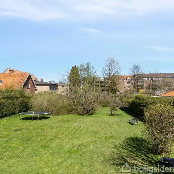 Grøn græsplæne med en trampolin til venstre omkranset af buske og træer; i baggrunden ses røde hustage under en klar blå himmel.