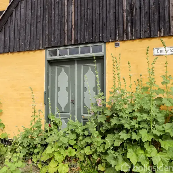 En grøn dør prydet med mønstre står på en gul væg. Foran døren er der høje, blomstrende planter. Et skilt ved siden af døren viser teksten "Gaasetorvet".
