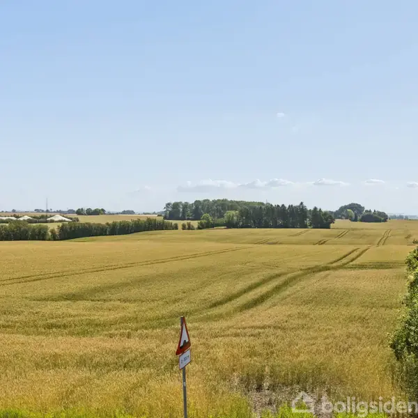 En vejskilt står foran en stor kornmark, der strækker sig ind i horisonten under en klar blå himmel, omgivet af skovområder i det fjerne.