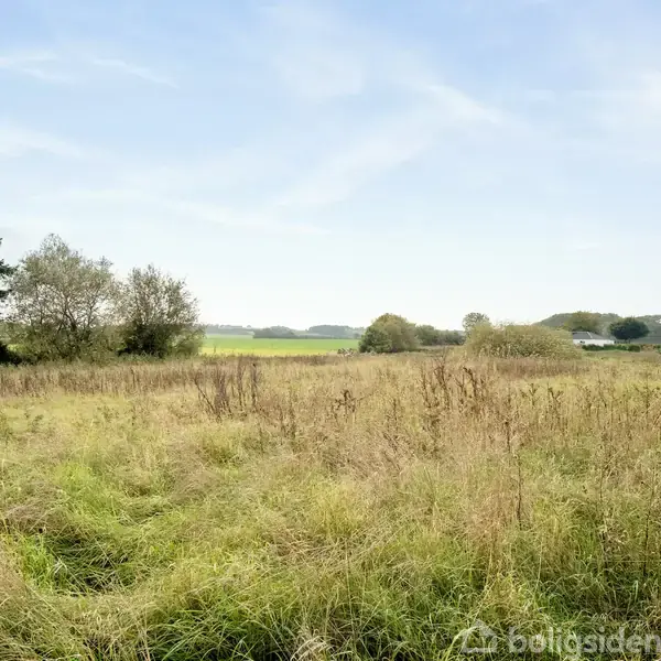 En engmark fyldt med højt græs strækker sig ud i en landlig scene med spredte træer og marker i baggrunden under en klar blå himmel.