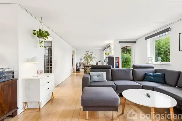 Grå sofa står i en stue, hvor den omfavnes af lyse træplanker og hvide vægge. Grønne planter hænger fra loftet, mens vinduer lader naturligt lys strømme ind.