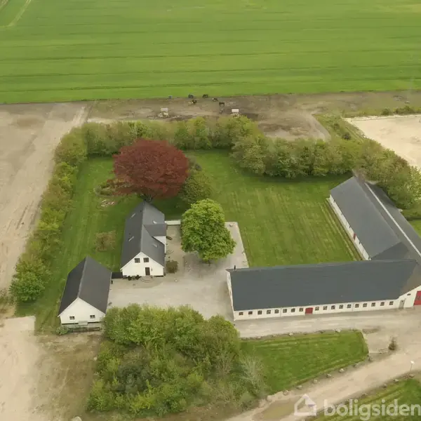 Et fugleperspektiv af en gård med to hvide bygninger omkring en gårdsplads, omkranset af grønne marker og en stor rødligt træ i haven.