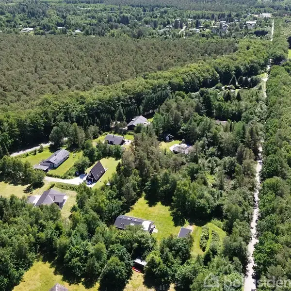 Huse ligger spredt mellem tætte træer i en skovklædt landskabsudsigt. En smal vej snor sig gennem området, omgivet af grøn vegetation. Skylinet viser endeløse trætoppe.