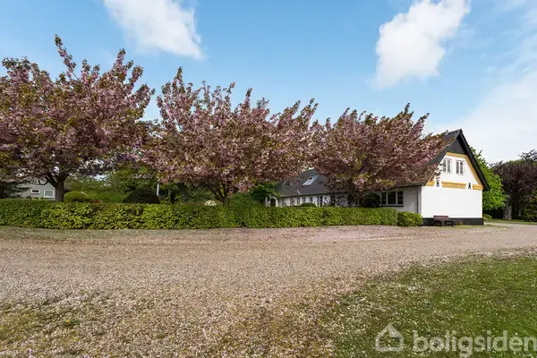 Landejendom på Billumgårdevej 29, 6852 Billum