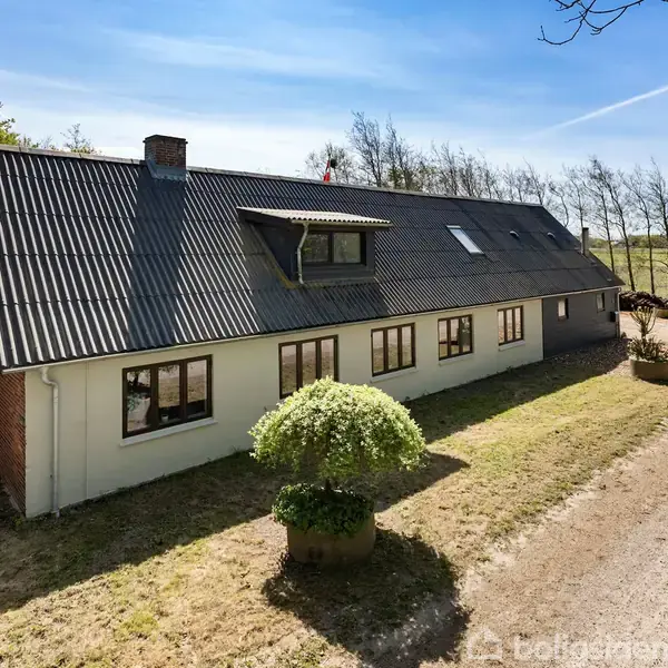 Et langt, hvidt hus med mørkt tag ligger ved en grusvej. Foran huset står en stor, grøn plante. Omgivelserne er landlige med åben natur og spredte træer.