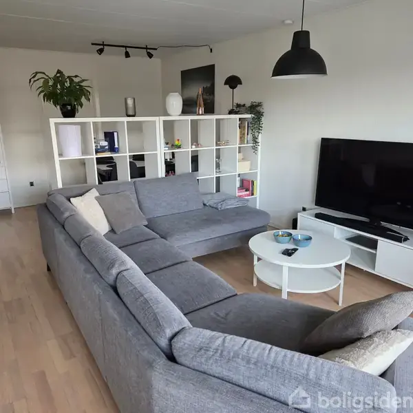Grå hjørnesofa står i en lys stue. Sofaen vender mod en stor fladskærms-tv på et hvidt TV-bord. En hvid reol adskiller rummet, med planter og pyntegenstande.