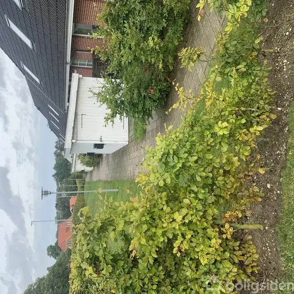 En hvid garagebygning står ved siden af en have med grønne buske. Fliser udgør gangstien, der fører til garagen. Et hus med sort tag ses i baggrunden.