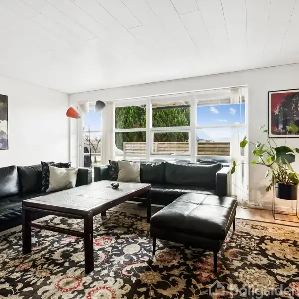 Sorte sofaer står omkring et træbord på et mønstret tæppe i en stue med lyse vægge og store vinduer. Væggene har malerier og et stort planter står i hjørnet.