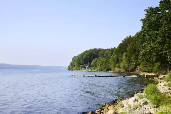 En træbro strækker sig ud i en rolig sø ved siden af en skovklædt kyst. Sten ligger langs vandkanten.