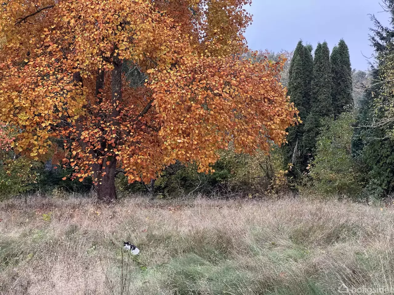 Villa på Torslunde Bygade 8, 2635 Ishøj