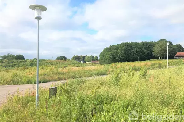 En ensom gadelygte står stille ved en omfartsvej omgivet af frodige grønne marker og træer, under en blå himmel med spredte skyer. Ingen tekst er til stede.