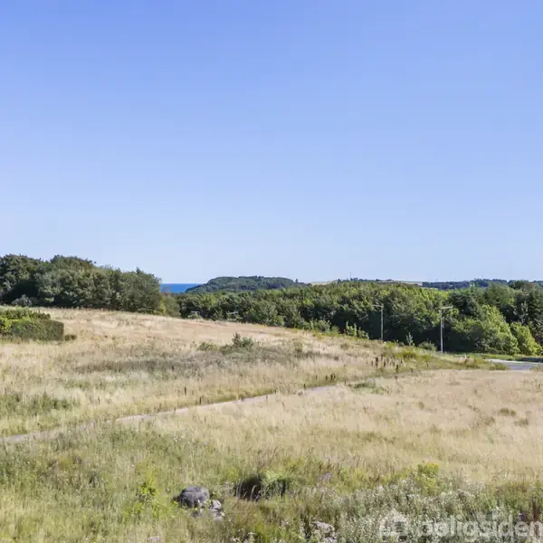 Græsmarker strækker sig mod en skovklædt horisont under en klar blå himmel. En lille vej snor sig gennem landskabet, omkranset af spredte buske og træer.