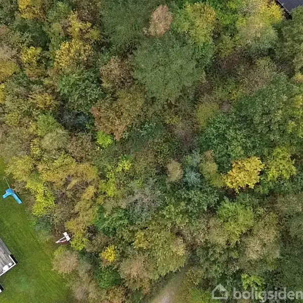 Hus omgivet af tæt skov, set fra luften. Græsplæne foran huset med en blå genstand. Boligsiden logo nederst til højre. Skov med blandede grønne og gule nuancer.